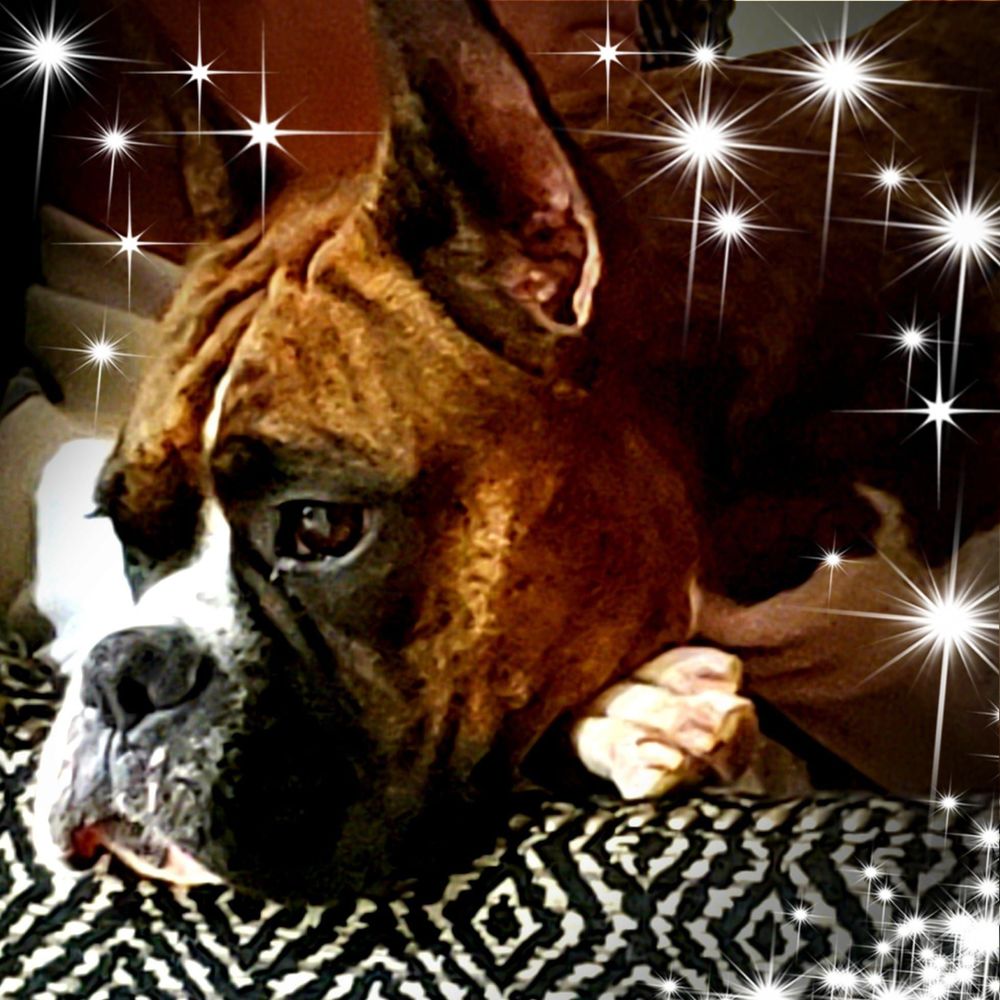 Meet your Posher, Suzanne